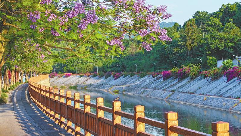 古宋河幸福河湖建设项目温水溪段。